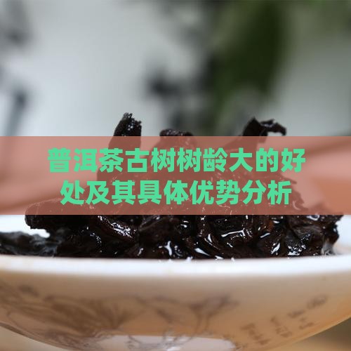 普洱茶古树树龄大的好处及其具体优势分析