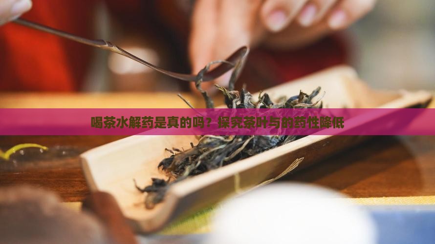 喝茶水解药是真的吗？探究茶叶与的药性降低