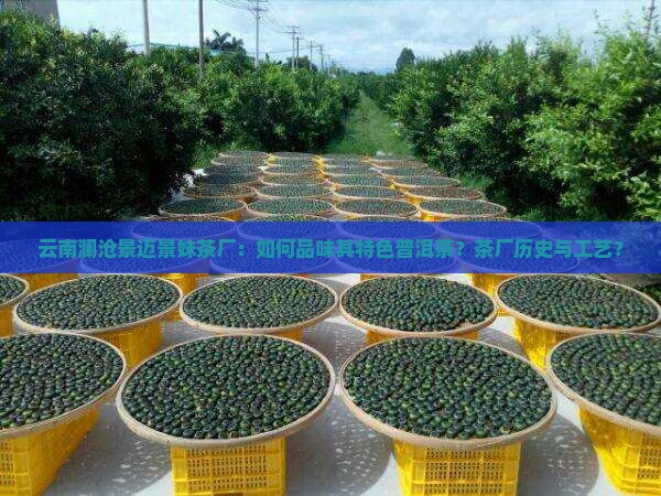 云南澜沧景迈景妹茶厂：如何品味其特色普洱茶？茶厂历史与工艺？