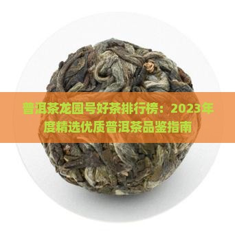 普洱茶龙园号好茶排行榜：2023年度精选优质普洱茶品鉴指南