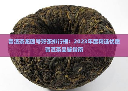 普洱茶龙园号好茶排行榜：2023年度精选优质普洱茶品鉴指南