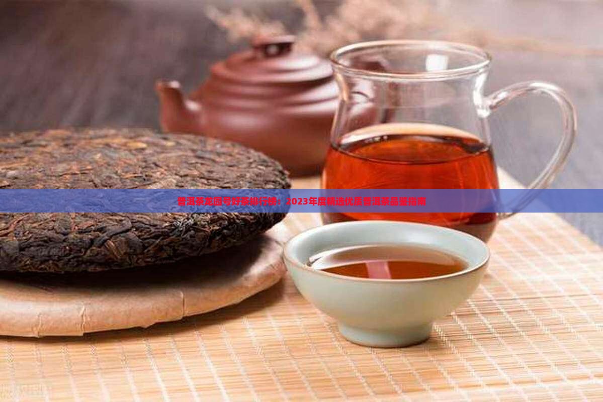 普洱茶龙园号好茶排行榜：2023年度精选优质普洱茶品鉴指南