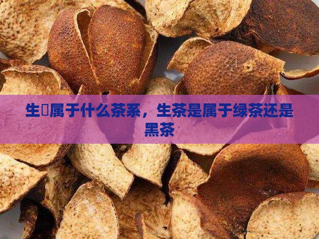 生潽属于什么茶系，生茶是属于绿茶还是黑茶