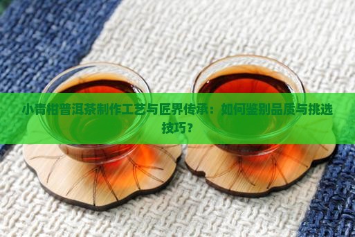 小青柑普洱茶制作工艺与匠界传承：如何鉴别品质与挑选技巧？