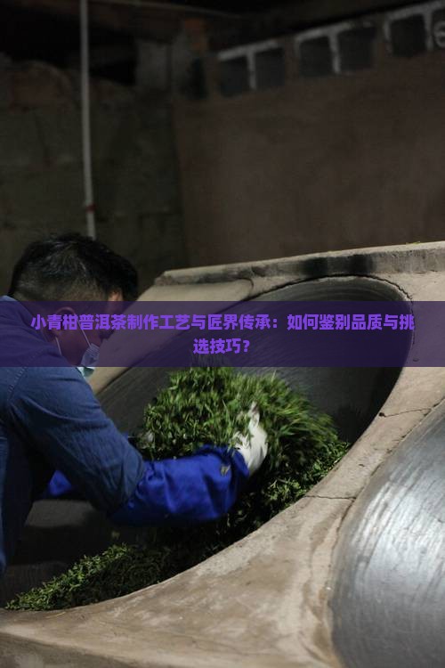 小青柑普洱茶制作工艺与匠界传承：如何鉴别品质与挑选技巧？