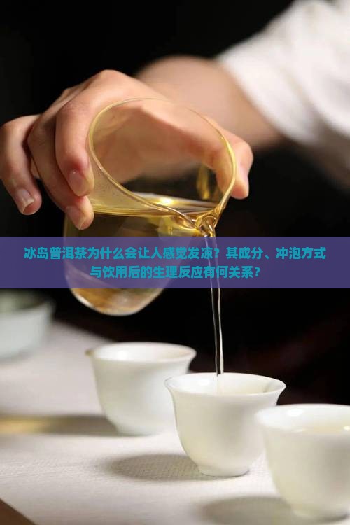 冰岛普洱茶为什么会让人感觉发凉？其成分、冲泡方式与饮用后的生理反应有何关系？