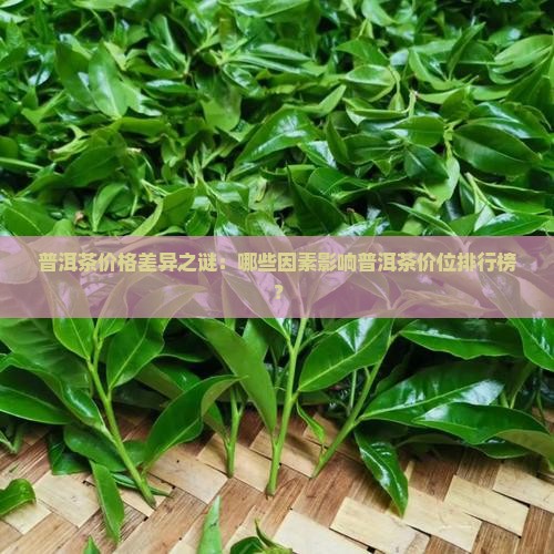 普洱茶价格差异之谜：哪些因素影响普洱茶价位排行榜？