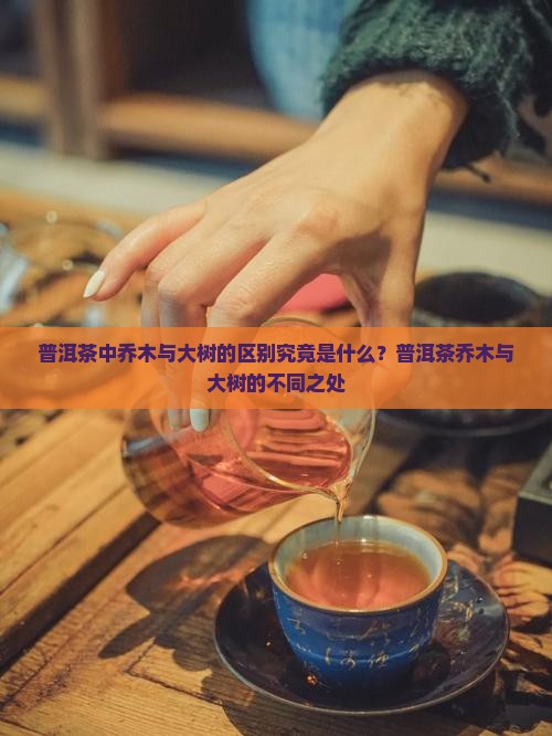 普洱茶中乔木与大树的区别究竟是什么？普洱茶乔木与大树的不同之处