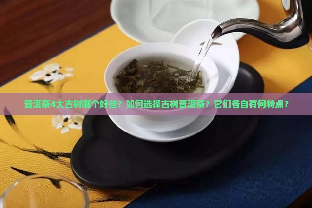 普洱茶4大古树哪个好些？如何选择古树普洱茶？它们各自有何特点？