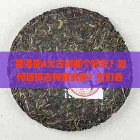 普洱茶4大古树哪个好些？如何选择古树普洱茶？它们各自有何特点？