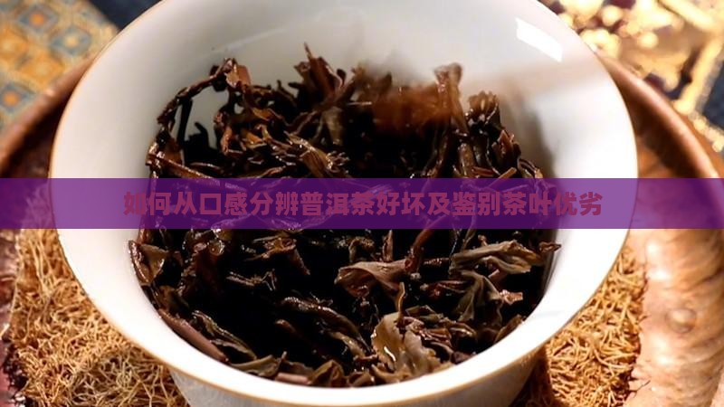 如何从口感分辨普洱茶好坏及鉴别茶叶优劣