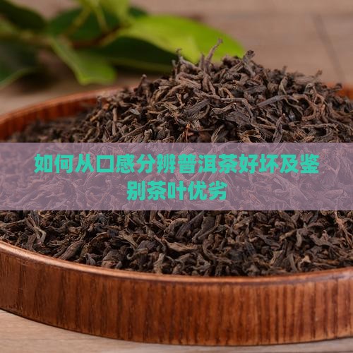 如何从口感分辨普洱茶好坏及鉴别茶叶优劣