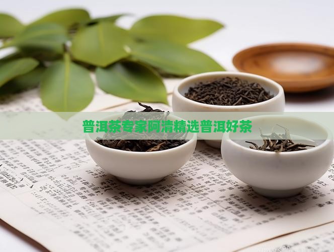 普洱茶专家阿清精选普洱好茶