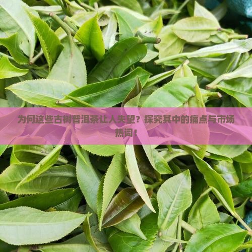 为何这些古树普洱茶让人失望？探究其中的痛点与市场热词！