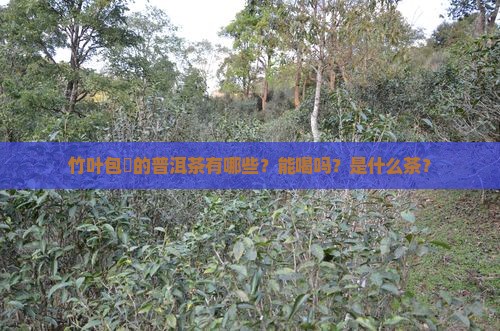 竹叶包裝的普洱茶有哪些？能喝吗？是什么茶？