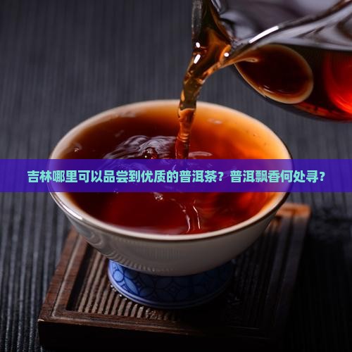 吉林哪里可以品尝到优质的普洱茶？普洱飘香何处寻？