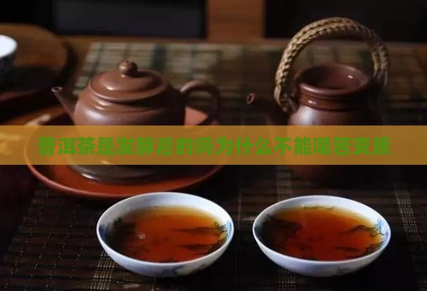 普洱茶是发酵后的吗为什么不能喝苦变质