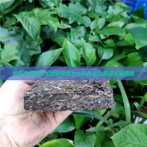 普洱茶饼用什么切好看呢怎么操作能让普洱茶更美观 普洱茶饼用什么切好看呢怎么操作能让普洱茶更美观