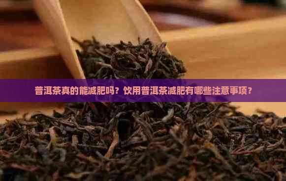 普洱茶真的能减肥吗?饮用普洱茶减肥有哪些注意事项? 普洱茶真的能减肥吗?饮用普洱茶减肥有哪些注意事项?