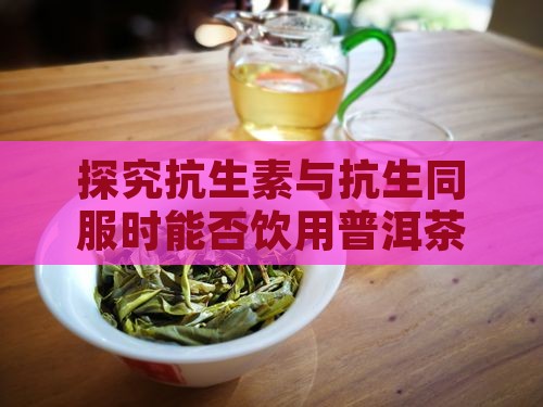 探究抗生素与抗生同服时能否饮用普洱茶 探究抗生素与抗生同服时能否饮用普洱茶