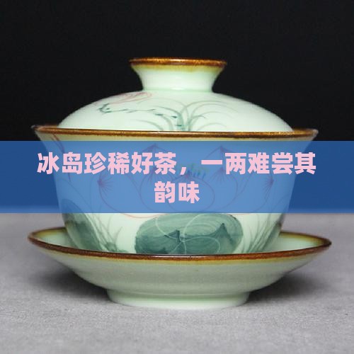 冰岛珍稀好茶，一两难尝其韵味