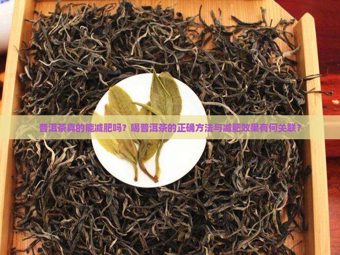 普洱茶真的能减肥吗？喝普洱茶的正确方法与减肥效果有何关联？