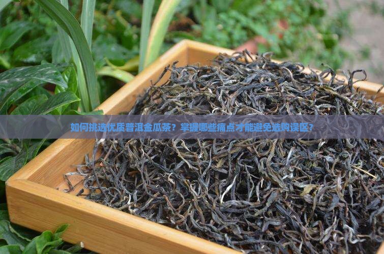 如何挑选优质普洱金瓜茶？掌握哪些痛点才能避免选购误区？