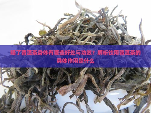 喝了普洱茶身体有哪些好处与功效？解析饮用普洱茶的具体作用是什么