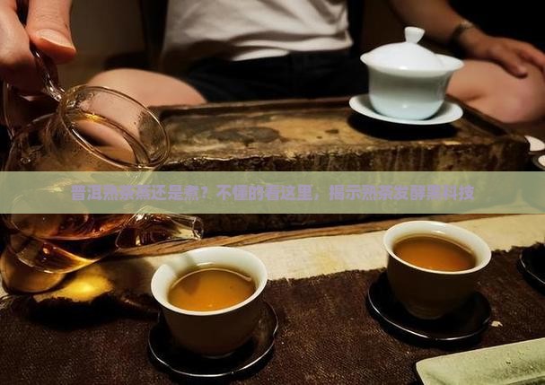 普洱熟茶蒸还是煮？不懂的看这里，揭示熟茶发酵黑科技