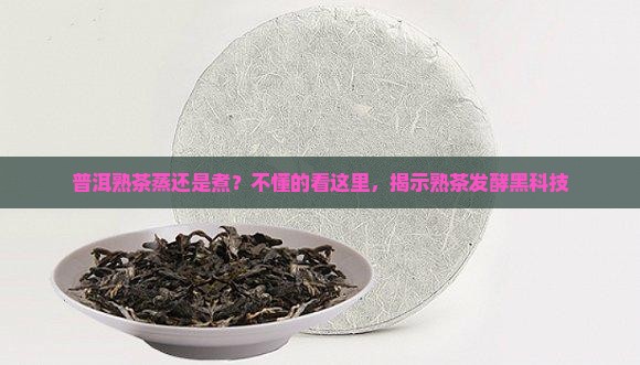 普洱熟茶蒸还是煮？不懂的看这里，揭示熟茶发酵黑科技