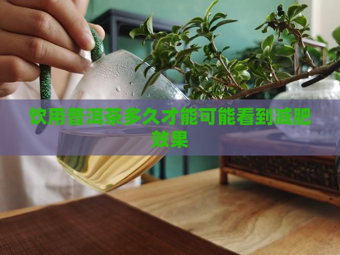 饮用普洱茶多久才能可能看到减肥效果