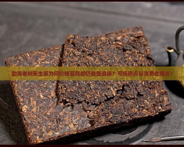 勐海老树茶生茶为何价格高昂却仍备受追捧？市场热点与消费者痛点！