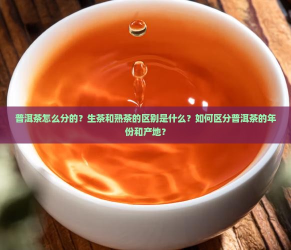 普洱茶怎么分的？生茶和熟茶的区别是什么？如何区分普洱茶的年份和产地？