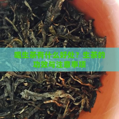 喝生茶有什么好处？生茶的功效与注意事项