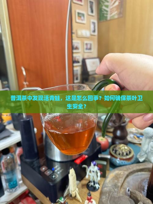 普洱茶中发现活青蛙，这是怎么回事？如何确保茶叶卫生安全？