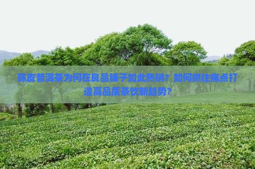 陈皮普洱茶为何在良品铺子如此热销？如何抓住痛点打造高品质茶饮新趋势？