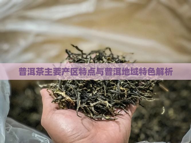 普洱茶主要产区特点与普洱地域特色解析