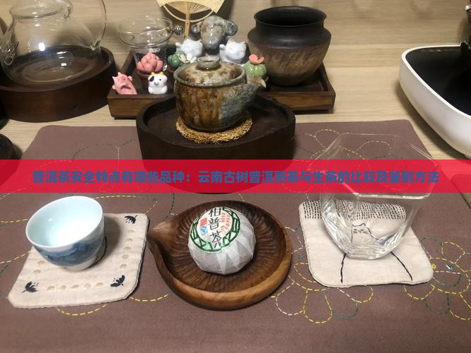 普洱茶安全特点有哪些品种：云南古树普洱熟茶与生茶的比较及鉴别方法