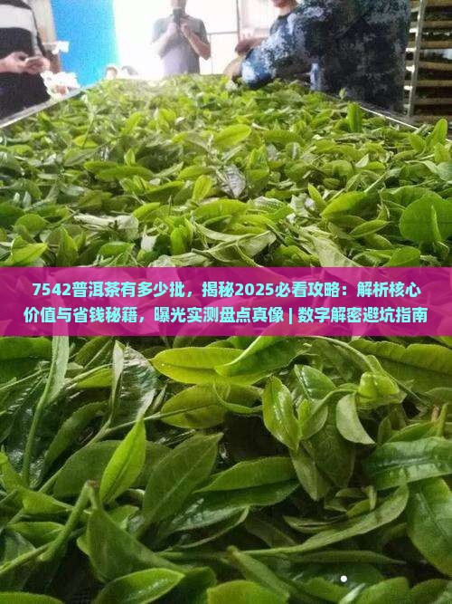 7542普洱茶有多少批