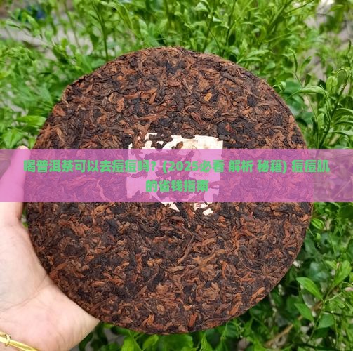 喝普洱茶可以去痘痘吗
