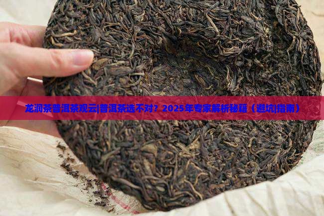 龙润茶普洱茶观云