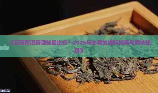 云南普洱茶哪些出名
