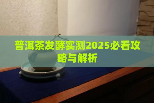 普洱茶先发酵再泡茶好吗