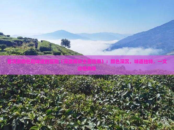 普洱茶颜色和味道的区别