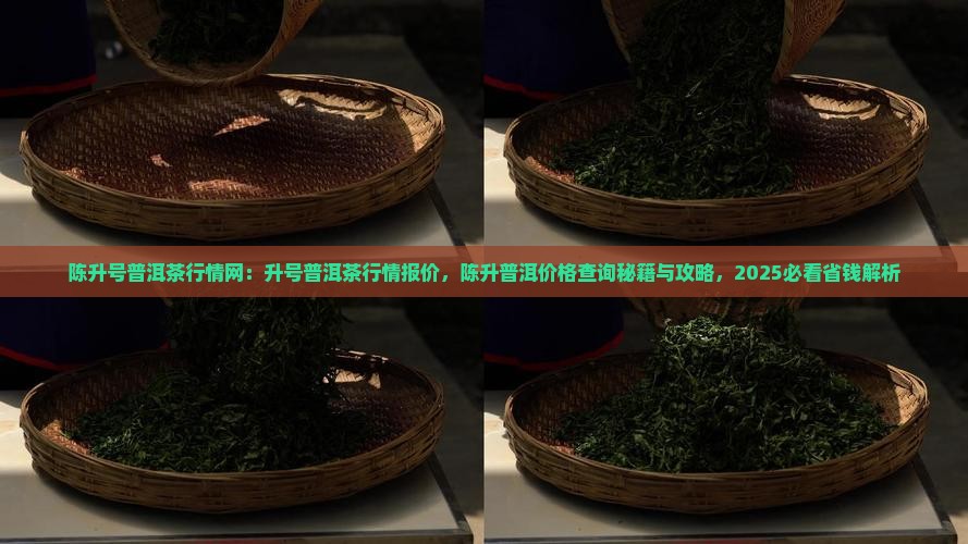 陈升号普洱茶行情网