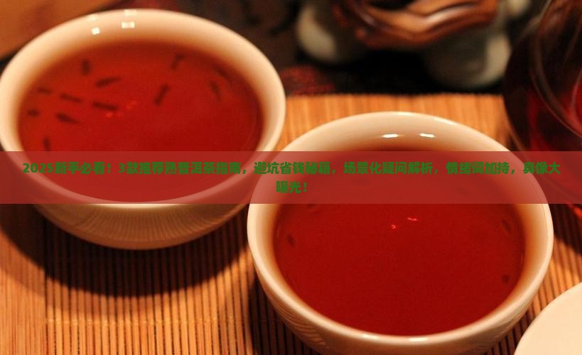 推荐的熟普洱茶