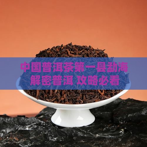 中国普洱茶第一县勐海的画