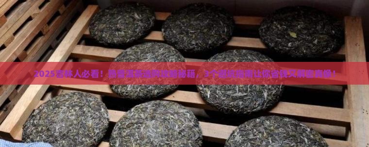 吉林好的熟普洱茶