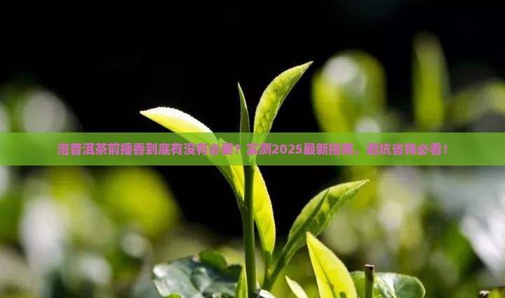 泡普洱茶需要摇香吗
