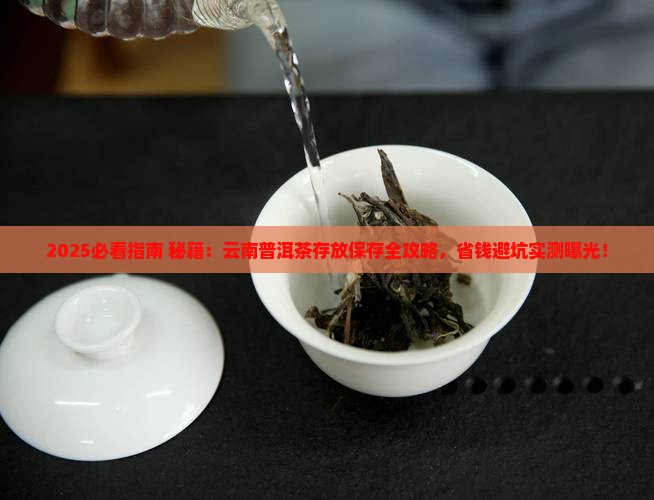 云南怎么存普洱茶